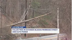 Fallen tree on power lines closes road in Katonah