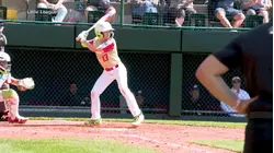 Little League World Series down to final 4