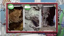 Wrigglers