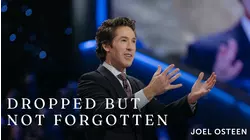 Dropped But Not Forgotten