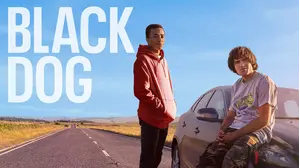 Black Dog