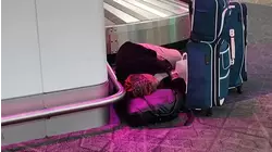 Passengers' patience being tested as delayed and canceled flights soar