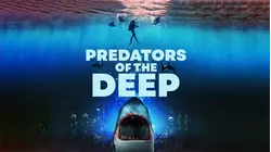 Predators of the Deep: The Hunt for the Lost Four