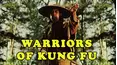 Warriors of Kung Fu