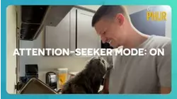 Dr. Phur | Attention-Seeker Mode: ON