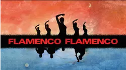Flamenco, Flamenco