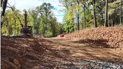 Bridgewater calls on judge to step in, order injunction after hundreds of trees torn down by county