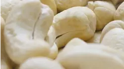 The Group Chat: Peanut vs tree nut allergy