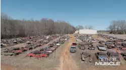 Field of Dreams