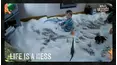 World's Messiest Fails