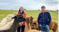The Yorkshire Vet