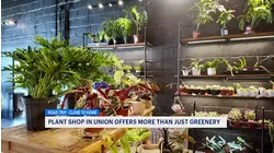 Road Trip Close to Home visits new plant shop that offers creative classes and greenery