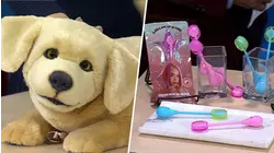 Robotic Dog, Audio Lollipops and More Favorites From CES 2026