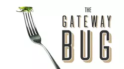 The Gateway Bug