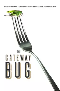 The Gateway Bug
