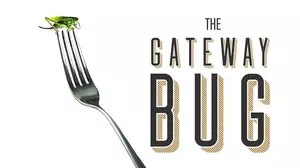 The Gateway Bug