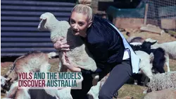 Yols And the Models Discover Australia