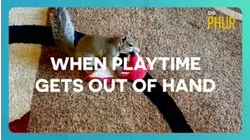 Dr. Phur | When Playtime Gets Out of Hand
