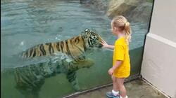 Unlikely Animal Friendships