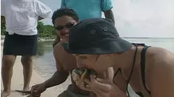 Cayman Islands