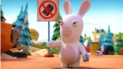 Safety Rabbid