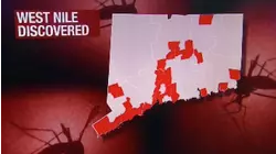 West Nile Virus found in mosquitoes across 34 Connecticut communities, no human cases yet