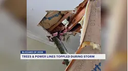 'Total shock.' Tree crashes into Hightstown couple's bedroom overnight during blizzard