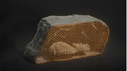 Volcanic Origins