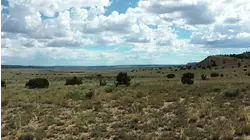 New Mexico featuring Keith Phillips,Van Morrison, Carole King, Joyce Cooling