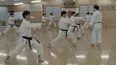 Warriors of Budo