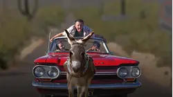 Ruta Madre