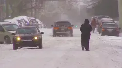 Millions Remain Under Cold Weather Alerts Amid Freeze Warnings