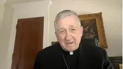 Archbishop of Chicago reacts to Trump's pope comments