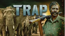 Trap