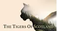 The Tigers of Scotland