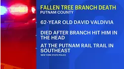 Falling branch kills man walking on Putnam Rail Trail in Southeast