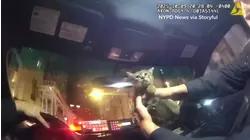 NYPD officer adopts kitty after rescuing it from under food truck