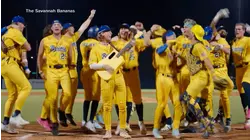 Savannah Bananas fight scammers