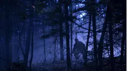 Bigfoot Island
