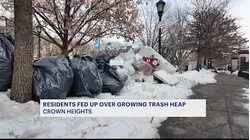 Uncollected trash piles growing by the day in Crown Heights along Eastern Parkway