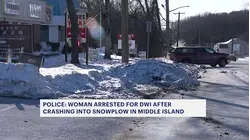 Coram woman charged with DWI in crash with snowplow