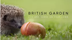 British Garden: Life And Death On Your Lawn