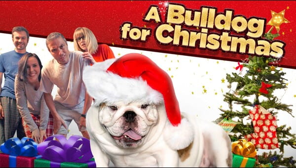 A Bulldog for Christmas on FREECABLE TV