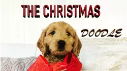 The Christmas Doodle