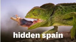 Hidden Spain