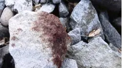 On the Rocks