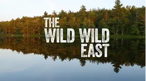 Wild Wild East