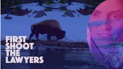 First Shoot the Lawyers