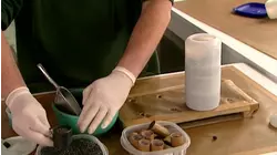 Fiberglass Boats and Fireworks