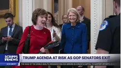 Senate Republicans form 'YOLO conference' amid exits and primary losses
